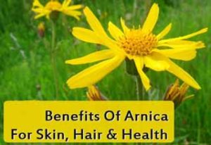 Benefits of Arnica